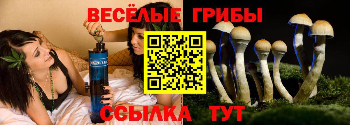 Октябрьский  Псилоцибиновые грибы мицелий  Вход с VPN 